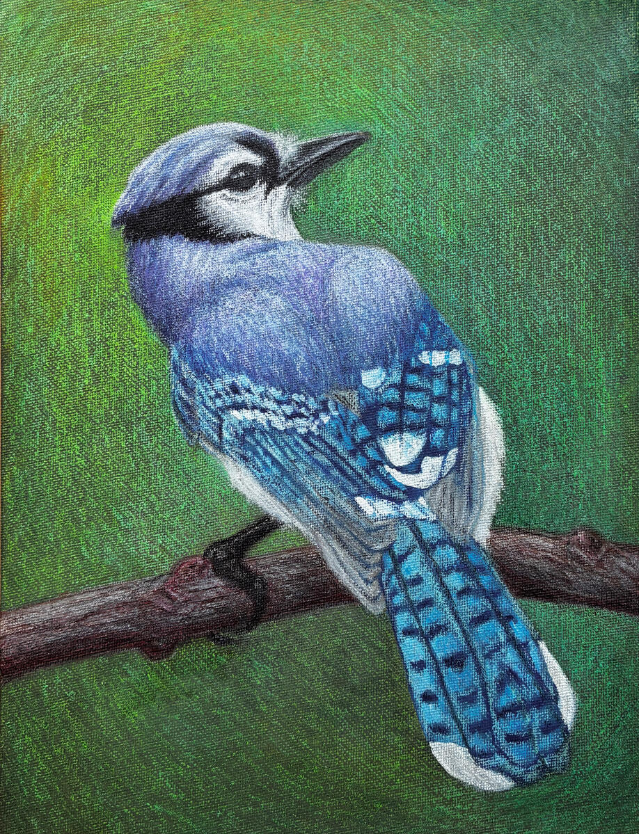 Blue Jay Mixed Media Artwork by Rhonda Crane
