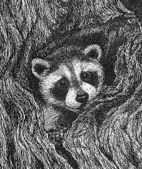 Raccoon in Tree - Kit, Cub, Juvenile, Young, Baby, Wild Animal - Pen and Ink Drawing - Wildlife Artwork by Rhonda Crane